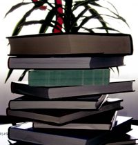 Pilha de Livros